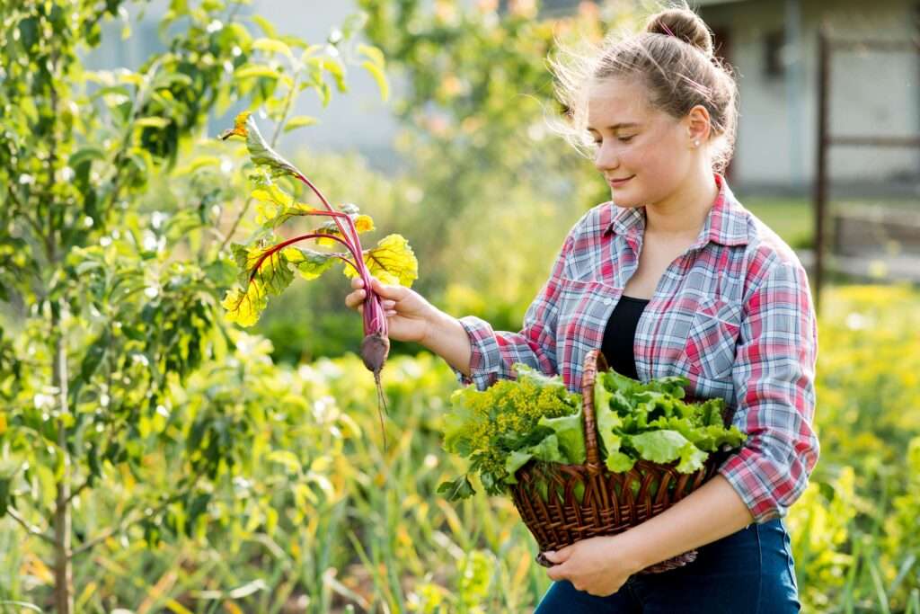 side-view-woman-picking-up-vegetables