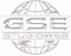 LOGO_GSE-COPYRIGHT